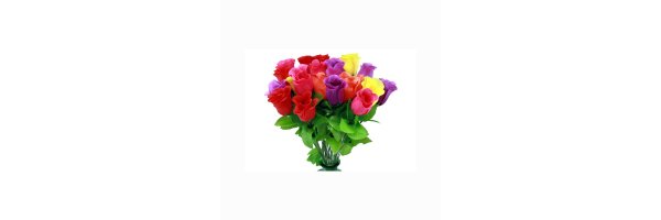 Blumen Kugel Ballon und Co