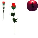LEUCHTENDE ROSE 32CM 2 SORTIMENT