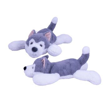Hund Husky liegend 40cm
