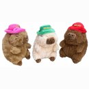 Capybara 3-fach sortiert mit Hut ca 17 cm