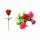 Rose farbig sortiert ca 15 cm
