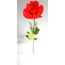 Rose nur rot 71cm