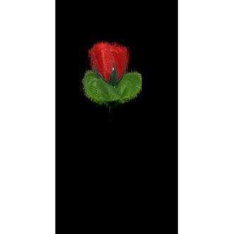 Rose Hecken große Knospe nur ROT 18,5cm
