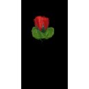 Rose Hecken große Knospe nur ROT 18,5cm