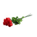 Rose Baccara  nur  rot 65cm mit 3Blättern